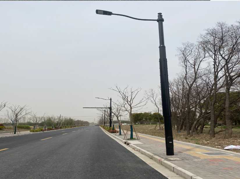 弥勒市上海综合杆 太阳能路灯工程